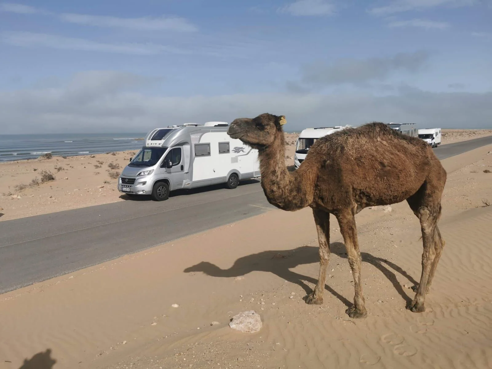 Encuentros y vida cotidiana en Marruecos