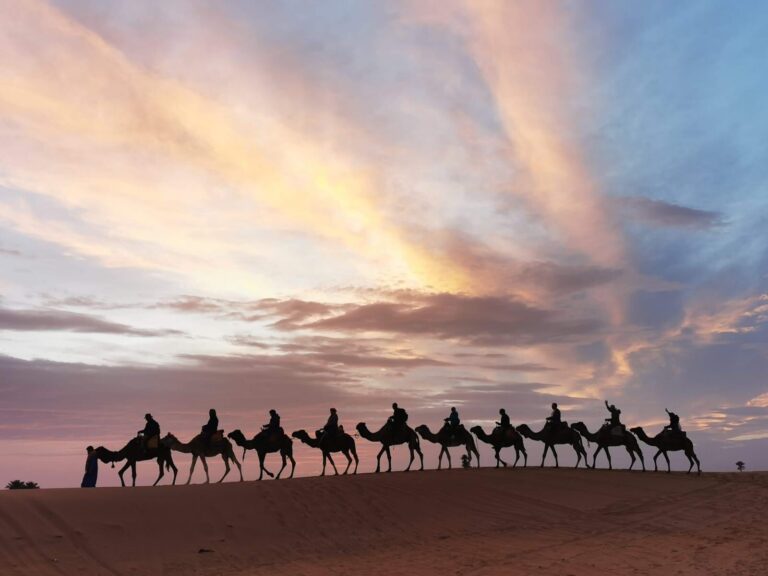 Caravana de camellos al atardecer en el Sáhara – Dr. Ammon Tours